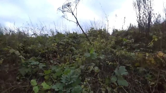 Не Зря мы заехали в это поле. Серебро с большой Дороги! смотреть онлайн