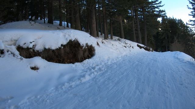 GH020123 смотреть онлайн