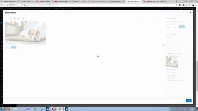 How to optimize WordPress images without technical skills смотреть онлайн