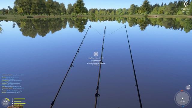 Zeilkarpfen und vieles mehr am Tümpel Bernsteinsee | Russian Fishing 4 #411 | RF4 | Deutsch | UwF смотреть онлайн