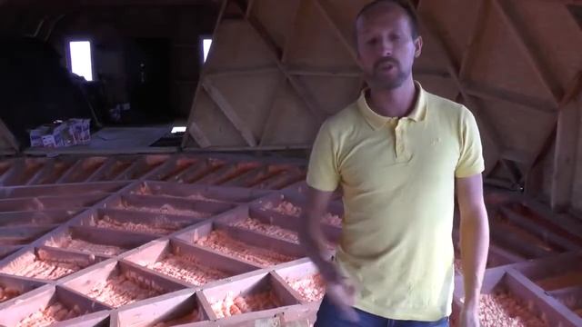 Отзыв о Polynor прямиком из солнечного Крыма. смотреть онлайн