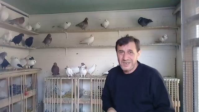 Совет от Гагика 38.Прикормка с творогом. смотреть онлайн