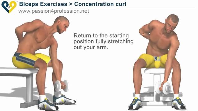 Concentration curls - Biceps Exercises смотреть онлайн