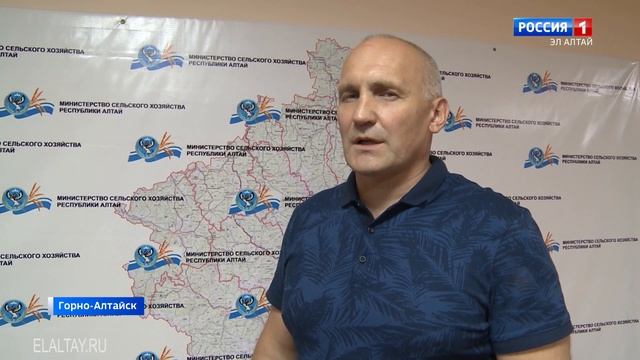 Самые крупные панты марала срезали на Теньгинском племзаводе смотреть онлайн