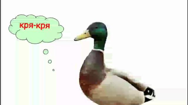 Звуки диких домашних как говорят животные для детей развивающий мультик видео кто как делает говори смотреть онлайн