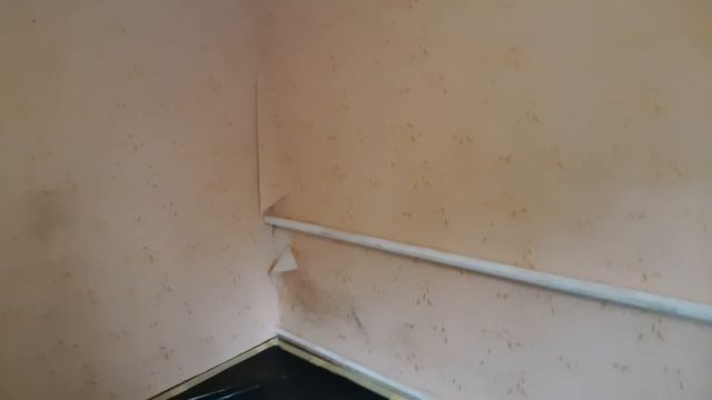 Как сделать красиво ремонт в глиняной хате смотреть онлайн