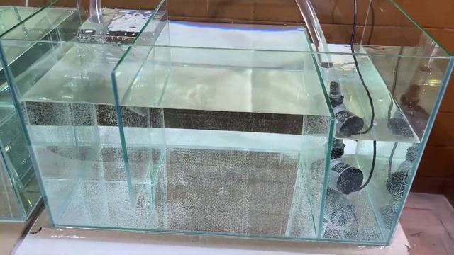 Обзор и проверка сампов для аквариумов. Самп как лучшая фильтрация для аквариума. смотреть онлайн