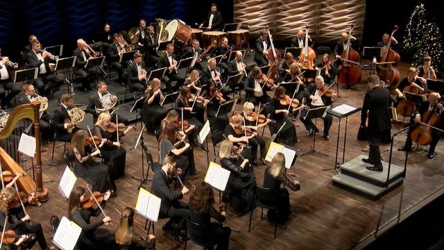 Предновогодний вечер в ГОРСе прошел под звуки польки и вальса смотреть онлайн