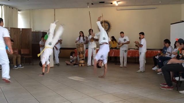 Cordao de Ouro Performance смотреть онлайн