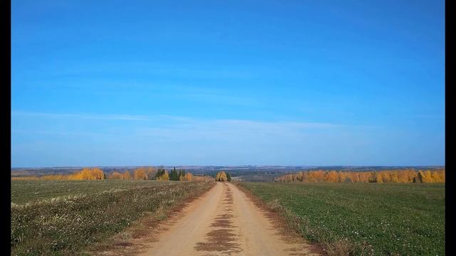 И Бунин Осень листья тёмной краской метит #философскаялирика #стихиобосени#поэтыCеребряноговека смотреть онлайн