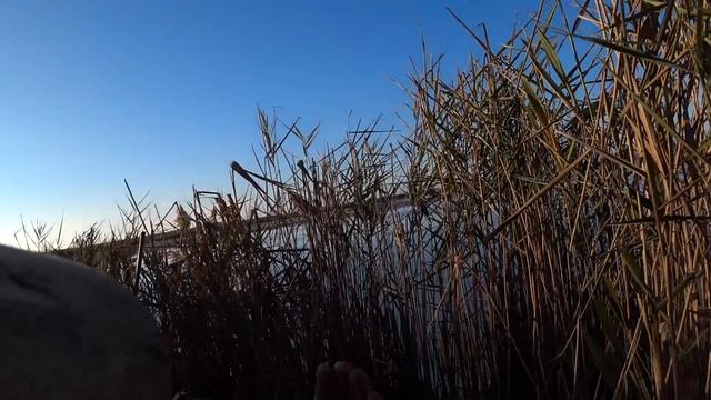 Утка смотреть онлайн