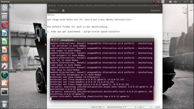 Java 8 auf Linux Ubuntu Deinstallieren смотреть онлайн