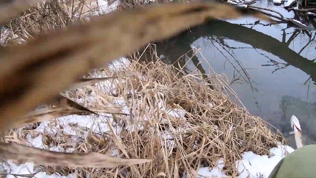 Середина февраля, микро-речка смотреть онлайн