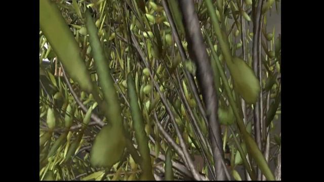 Protee Simulator in Golf Club VR смотреть онлайн