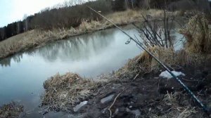 Опробовал новый ультралайтовый комплект 0,5-5гр. Подышал воздухом, прогулялся по лесу :-) #NIK_72