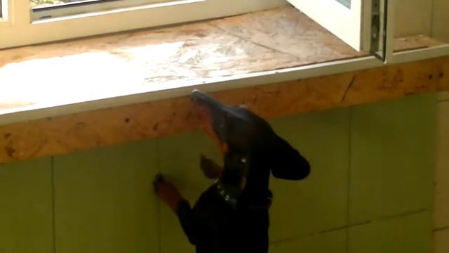 Собака которая плачет ... смотреть онлайн