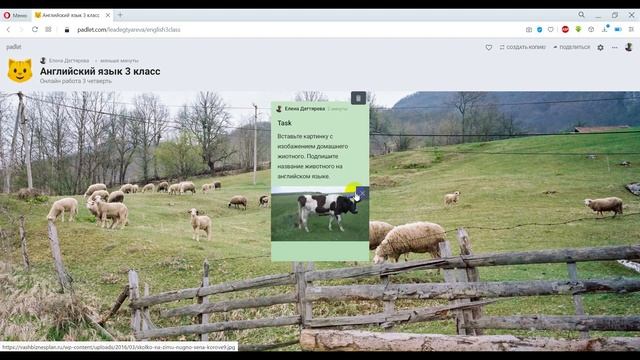 Онлайн доска Padlet смотреть онлайн