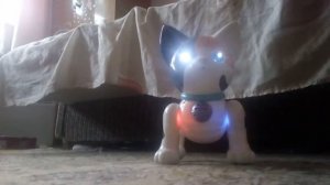 Кот робот обзор