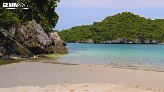 VIRAL TIKTOK " PIKIRANKU LEPAS MELAYANG - LAYANG " - GENJA SKA COVER ( RUB OF RUB - LEPAS ) смотреть онлайн