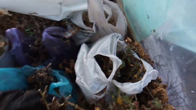 Ошибки и положительные моменты на 15 декабря смотреть онлайн