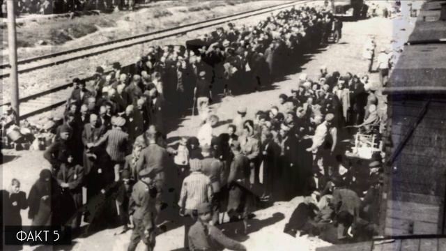10 ФАКТОВ концлагеря АУШВИЦ - БИРКЕНАУ // Освенцим смотреть онлайн