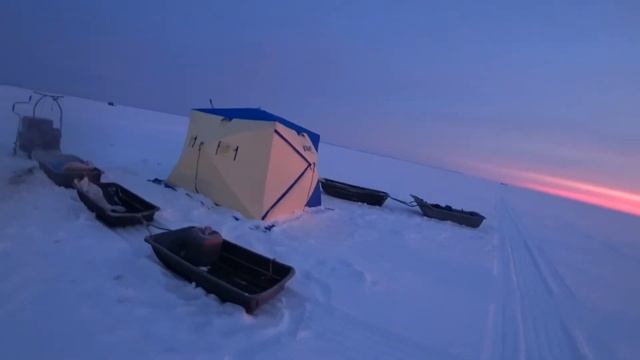 Крупная навага в УНЕ, р.Вежма#УНА#Рыбалка2022#Белое море