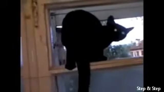 котопёс стоит задуматься смотреть онлайн
