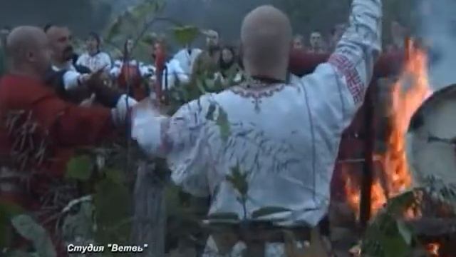 Купала. 2009г.