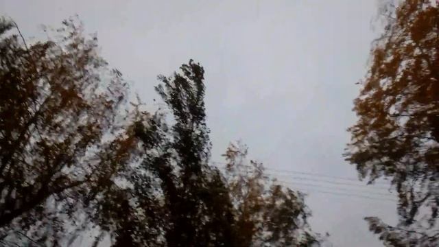 Сильный ветер в Чебоксарах на ул. Чернышевского (17.X.2023)