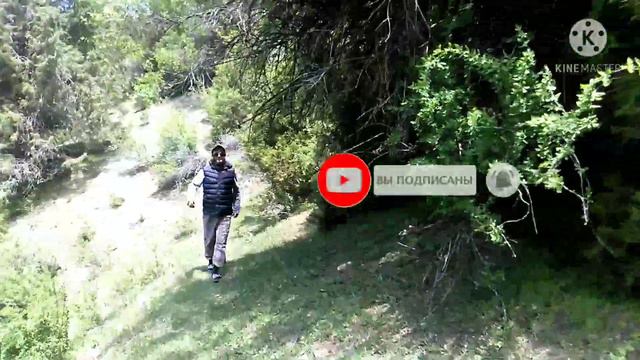 30 мая 2021 г. Отдых на природе, Ясная поляна!!! 1-часть. смотреть онлайн