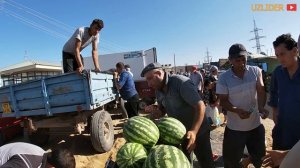 ДЕХКОН БОЗОР НАРХЛАРИ | РЫНОК  УЗБЕКИСТАН  |  UZBEKISTAN MARKET