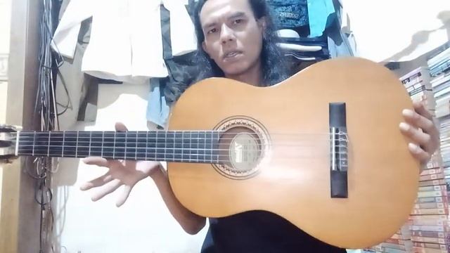 Gitar Valencia VC 204 смотреть онлайн