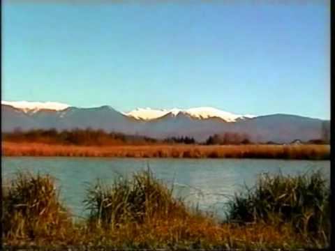 Имеретинская низменность. Фильм 2004 года. смотреть онлайн