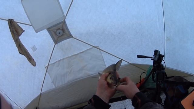 Селигер - Нилова Пустынь. смотреть онлайн