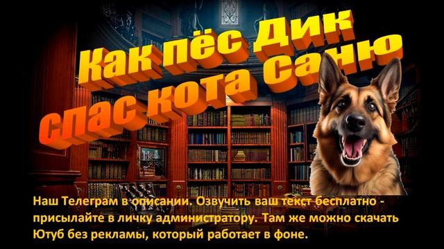 История о том Как пёс Дик спас кота Саню смотреть онлайн