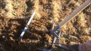 КАКИЕ СИДЕРАТЫ СЕЯТЬ ВЕСНОЙ /НЕ КОПАТЬ/ Органическое земледелие