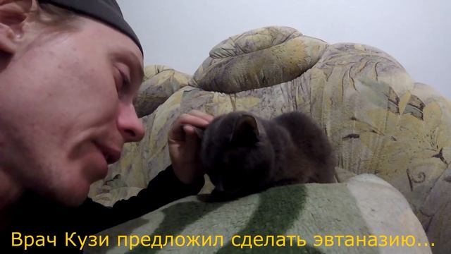 Очень плохие анализы крови у Кузи... смотреть онлайн