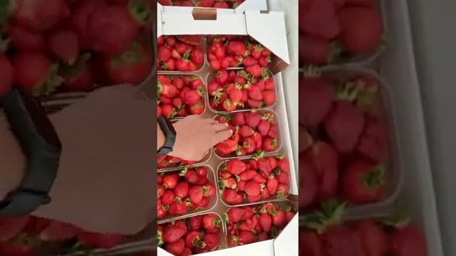 Цены на 2022 год смотреть онлайн