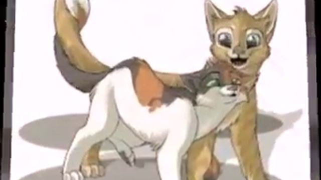 Коты воители Медуница и Бурый смотреть онлайн