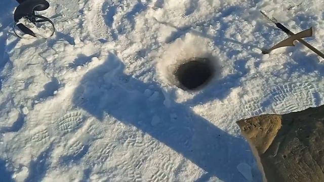 РЫБАЛКА НА АМУРЕ 3.01.23 смотреть онлайн