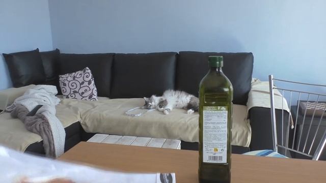 Хамон - понты дороже денег