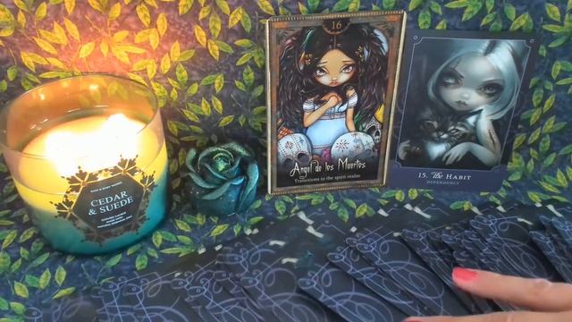 THE NEXT CHAPTER of Your Life ? What's Happening Next? Love, Career, Purpose (Tarot Reading) ? смотреть онлайн