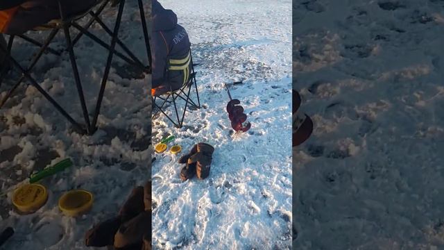 Наконец то, первый лед! 1 декабря. смотреть онлайн
