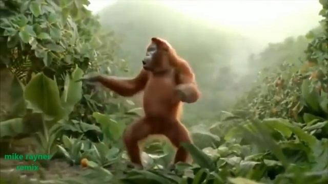 Romans dance смотреть онлайн