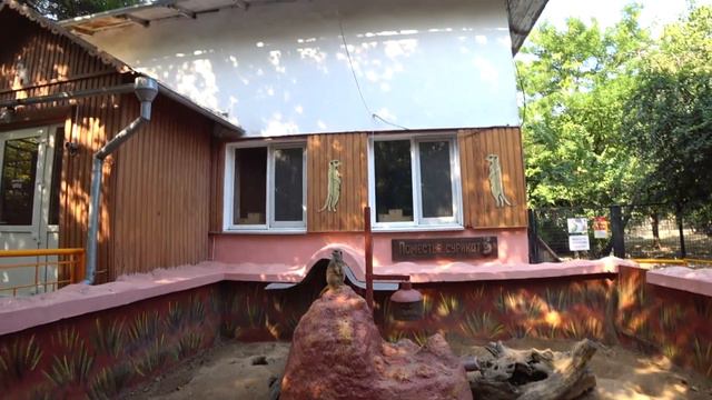 Сурикаты в Зоопарке! Кто здесь?? Зоопарк в Николаеве! смотреть онлайн