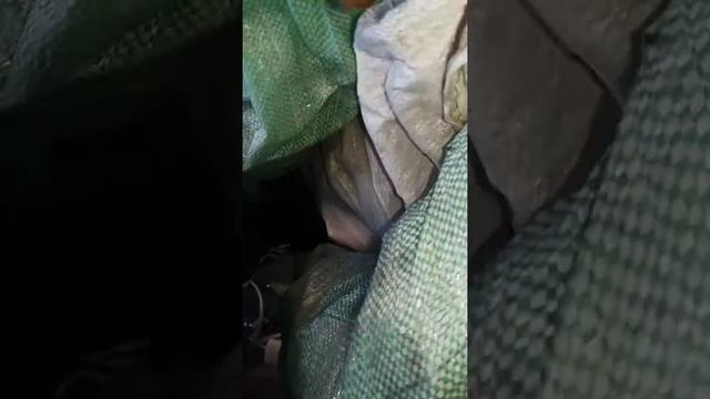 КАКИЕ БРИКЕТЫ ДЛЯ ОТОПЛЕНИЯ ЛУЧШЕ смотреть онлайн