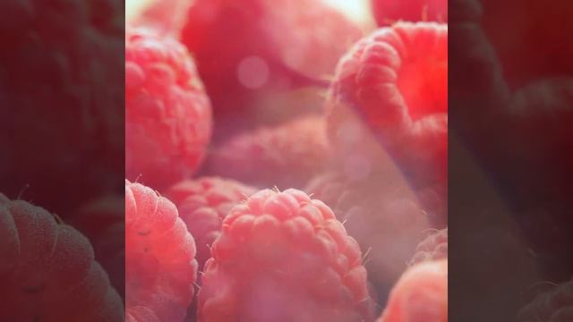 Mancera Juicy_Flowers смотреть онлайн