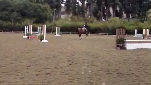Pappilion K in Baby Green Class-2nd place смотреть онлайн