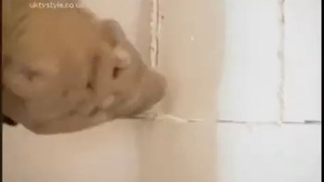 Extreme makeover - Powers Family смотреть онлайн