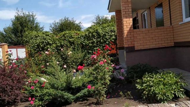 Дома в Белгороде смотреть онлайн